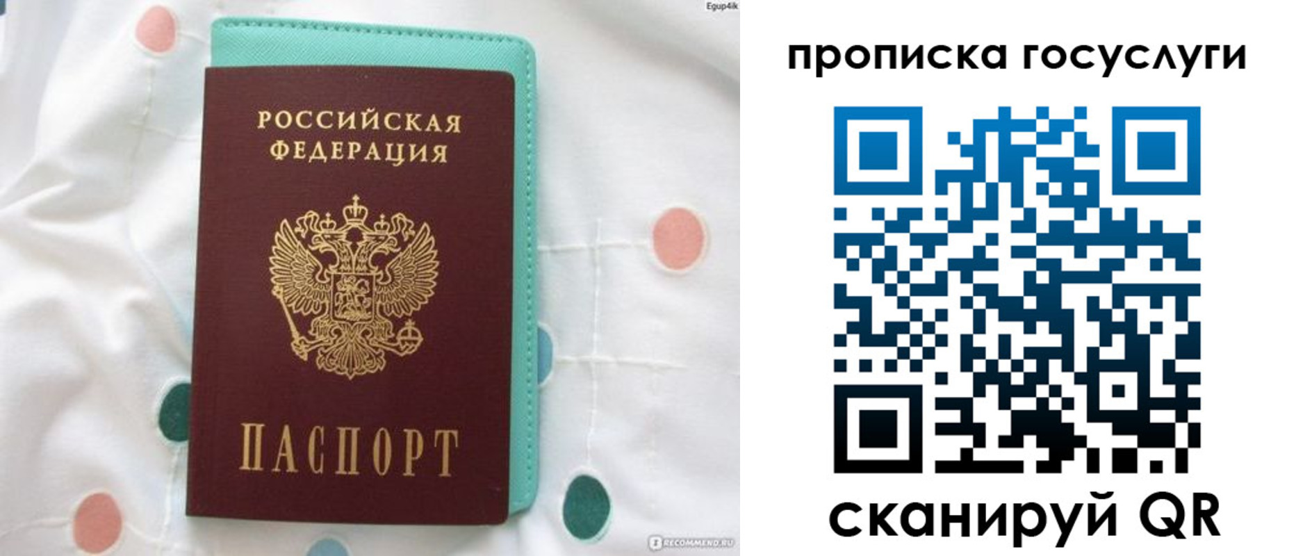 прописка поиск в Белёве